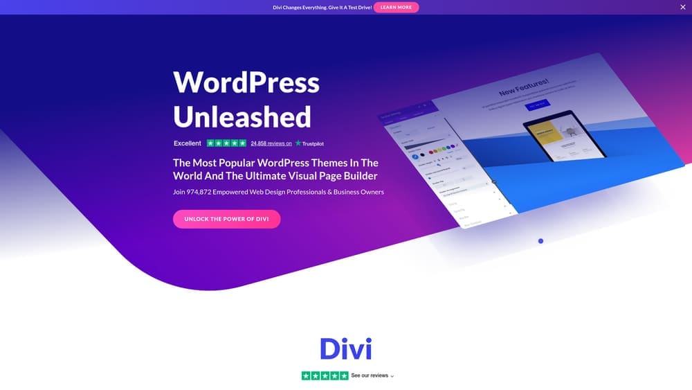 Screenshot of Divi website homepage