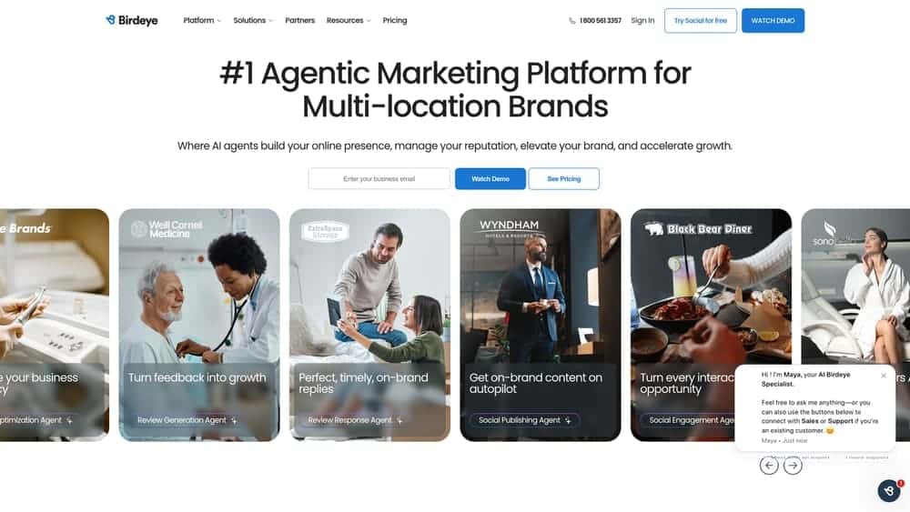 Screenshot of BirdEye website homepage