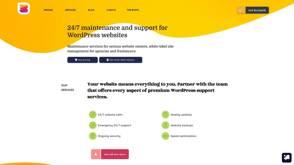 Screenshot of WP Buffs website homepage